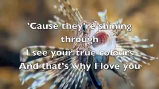 True Colours (lyrics) Phil Collins
