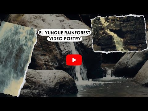 El Yunque's Hidden Gem: Greatness of the Waters