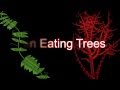 Trees that eat people!! 