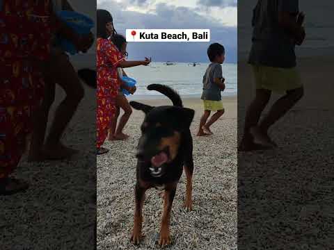Play Time at Kuta Beach #shorts #travel #bali