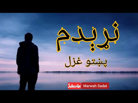 pashto poetry- pashto shayari - pashto ghazal - Marwah Sadat - hikmatullah salar - پشتو غزل