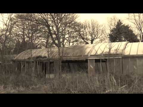 download lagu mp3 mp4 Daresbury Estate, download lagu Daresbury Estate gratis, unduh video klip Daresbury Estate