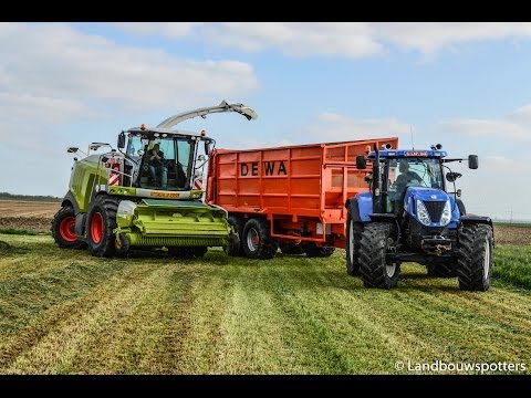 Gras hakselen 2014 Patfoort Claas 950