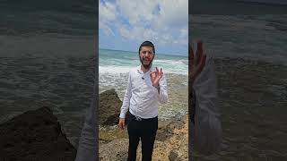 אמונה תמימה (הרב רפאל זר) - התמונה מוצגת ישירות מתוך אתר האינטרנט יוטיוב. זכויות היוצרים בתמונה שייכות ליוצרה. קישור קרדיט למקור התוכן נמצא בתוך דף הסרטון