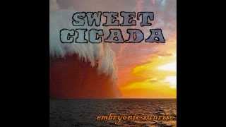 SWEET CICADA - Embryonic Sunrise