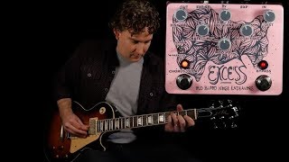 Video thumbnail for Old Blood Noise Endeavors Excess Distortion Chorus Delay Preview by ProGuitarShopDemos