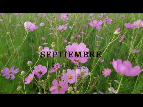 Nico Carabajal - Septiembre