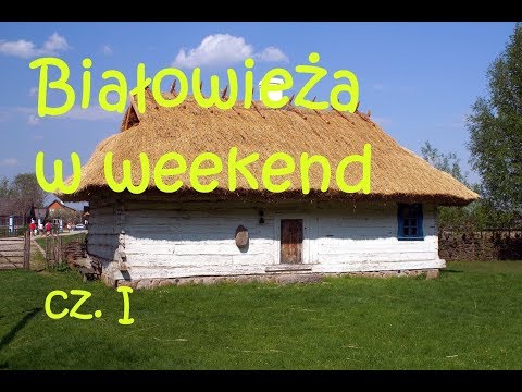 Weekend w Polsce - Białowieża