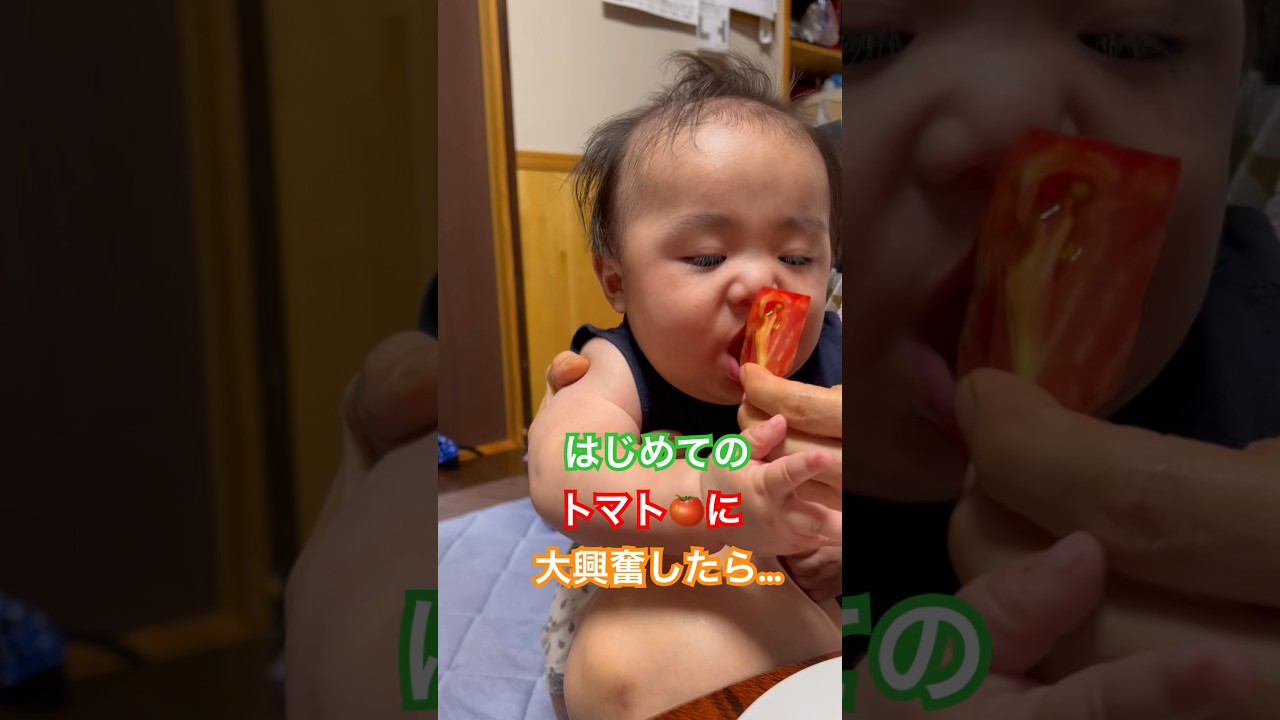 初めてのトマトに大興奮した結果… #shorts