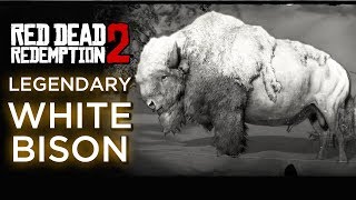 Red Dead Redemption 2 - Legendary White Bison