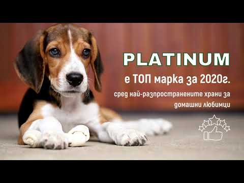 , title : 'Класация на най-добрите Кучешки Храни 2020 определя PLATINUM за ТОП марка'
