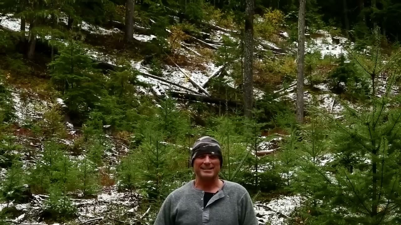 I Filmed What We Saw, Sasquatch Or Not, Here It Is