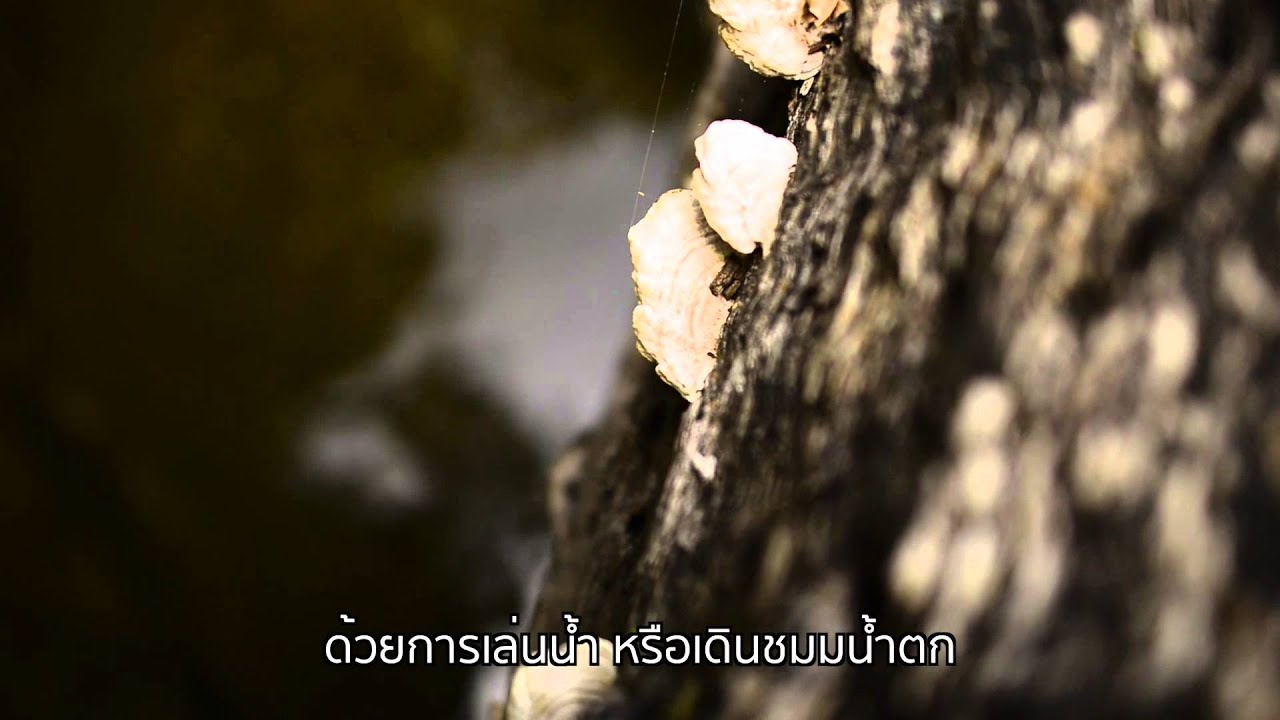 Sai Rung Waterfall