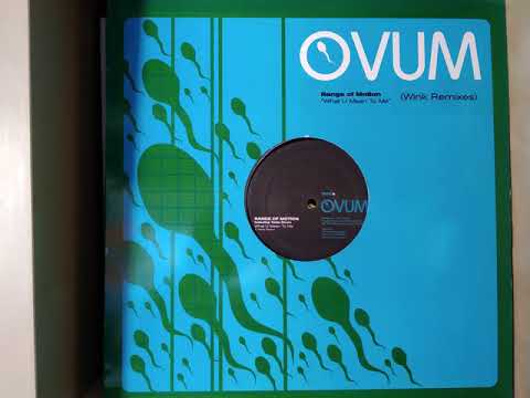 Range Of Motion - What U Mean To Me Wink Remix