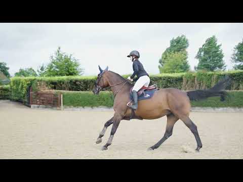 wkd little gem jumping