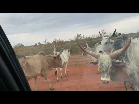 Kaffrine: a beautiful, remote village that suffers from a lack of water.