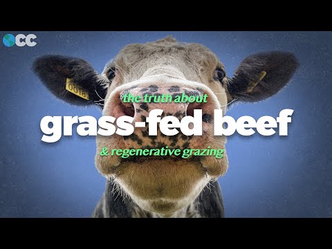草食牛肉的问题（The Problem With Grass-Fed Beef）