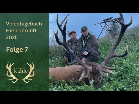 Erlegung eines alten Recken! Hirschbrunft in Masuren / Polen | Tag 7