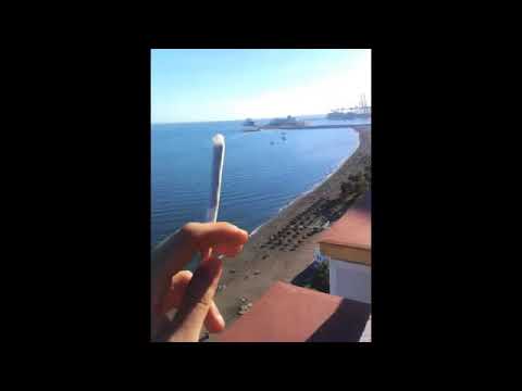 ANGEL, MOLY, FRANCHU Y EL FRODO   CICATRIZANDO