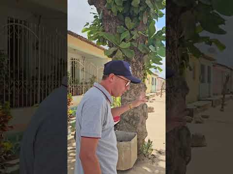 Aldeia Kariri xocó  fica localizado no município de Porto Real do colégio-AL  28/12/25