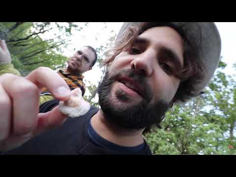 Il bramito del cervo ma sono circondato da gente strana