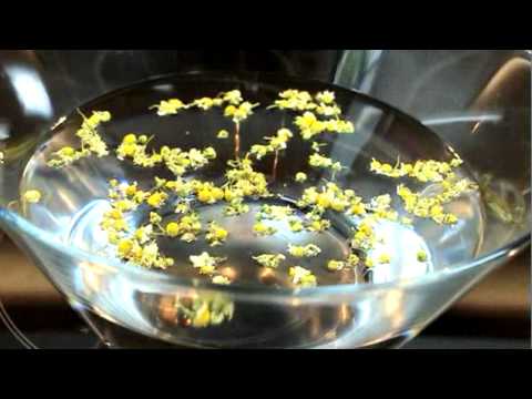 Im Bereich der Lendenwirbelsäule Symptom der anhaltenden Schmerzen Knochen an den Fingern Gelenke Behandlung