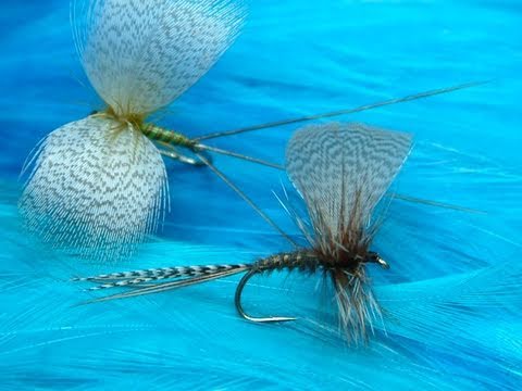 Tying a Fanwinged Adams( Dry Fly) by Davie McPhail.