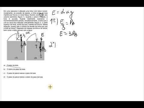 UNICAMP 2019 Física Empuxo: "Em uma pescaria é utilizada uma linha com boia e anzol..."