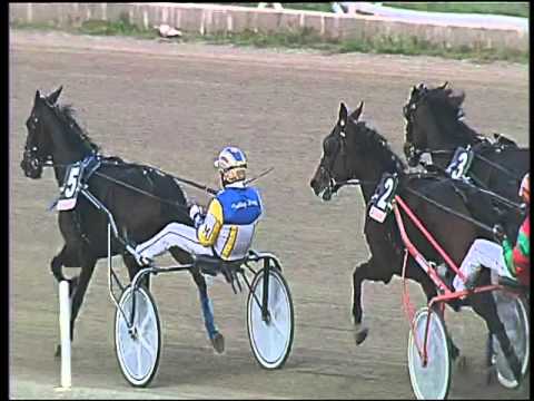 Trotto 25/10/2015 - 2° corsa