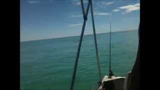 preview picture of video 'Family Fishing Boat Trip With Jumping Dolphins Adelaide Sellicks Beach'