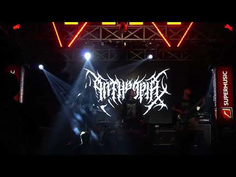 Anthropia - Intro + Obvious