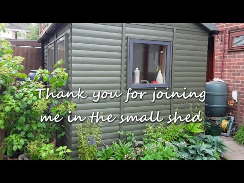 small shed Saturday - things are on hold again!