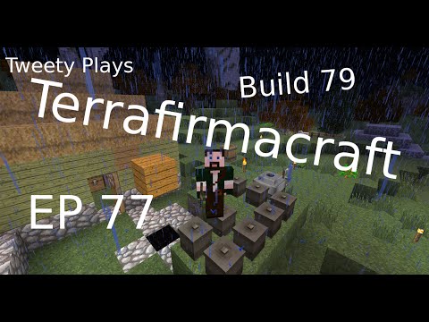 Tweety plays Terrafirmacraft ep 77 - That's a big hole