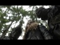 the 100 • never gonna be the same 