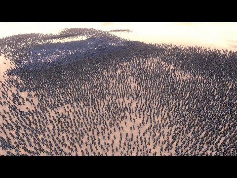 Massive Medieval Army  vs  Big Horde of Runner Zombies - 25k Units - Ultimate Epic Battle Simulator