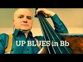 Up Blues in Bb Bass Line Play Along Backing Track