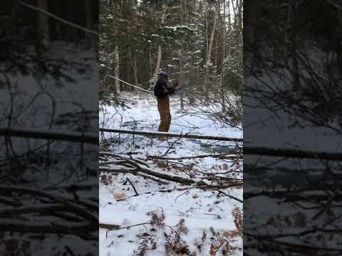 Caught a Yooper In It's Natural Habitat! #shorts