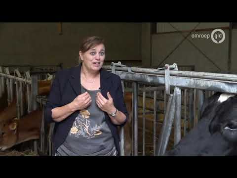 GLD Nieuws 4 september 2020