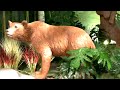 Jesus Bread Of Life One Spirit Methuselah Oldest Man Bible Noah S Ark Creation Museum Kentucky 13341