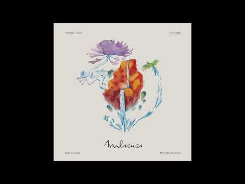 Vent Bleu - Senderos del mono