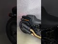 745593 Motorcycle - Harley-Davidson - Fat Bob - 2020 }}