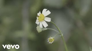 Remi Lyrics English Translation