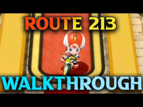Pokemon Brilliant Diamond Walkthrough - Route 213