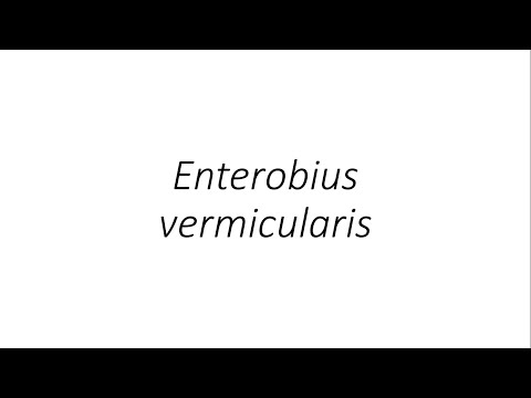 Enterobius vermicularis - Parasitology