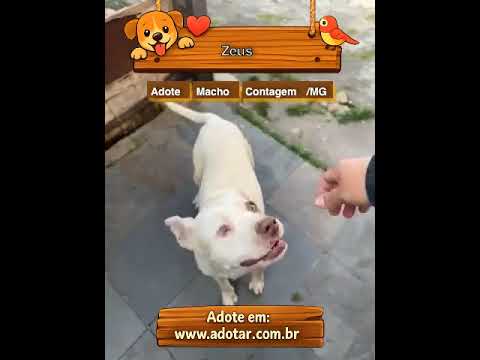 Vídeo de Zeus