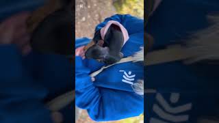 家族で森さんぽ