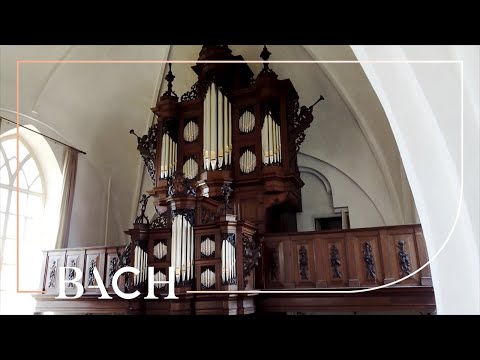 Bach - Sonata no. 6 in G major BWV 530 - Smits | Netherlands Bach Society