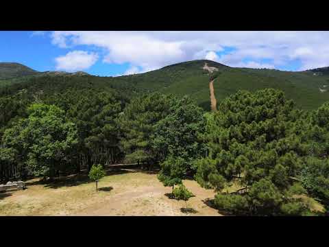 Senda de San Gregorio (Valle de Iruelas- PR-AV 52 - Ávila)