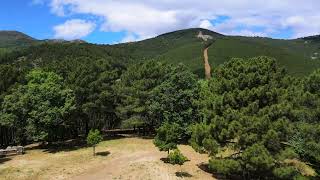 Senda de San Gregorio (Valle de Iruelas- PR-AV 52 - Ávila)