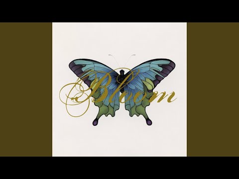 Fumbling Towards Ecstasy (Junior Boys Mix)